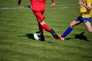 星空体育入口官网-NBA球员训练计划优化设计，nba运动员训练计划